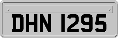 DHN1295