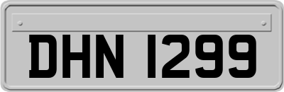 DHN1299