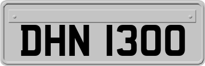 DHN1300