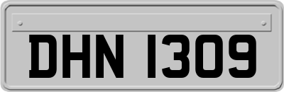 DHN1309
