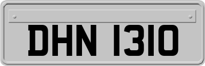 DHN1310