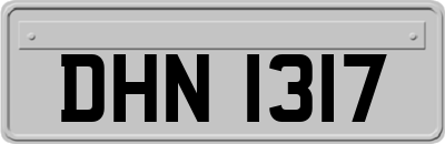 DHN1317