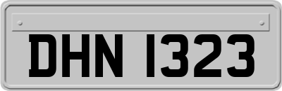 DHN1323