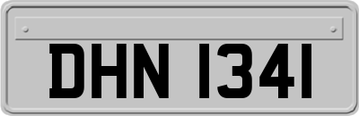 DHN1341