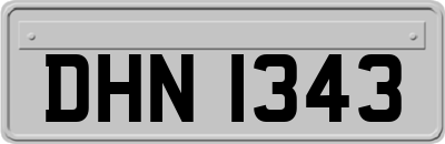 DHN1343