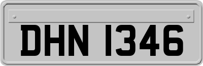 DHN1346