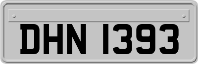 DHN1393