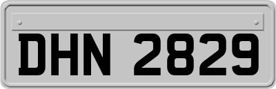 DHN2829