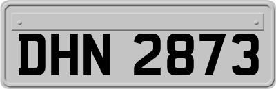 DHN2873
