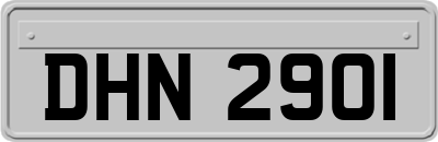 DHN2901