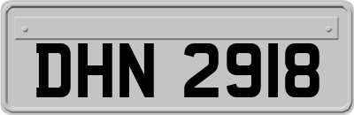 DHN2918