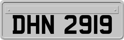 DHN2919