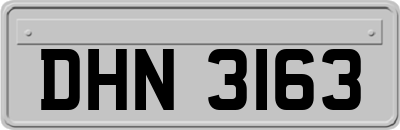 DHN3163