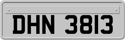 DHN3813
