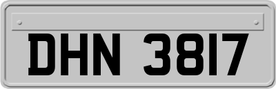 DHN3817