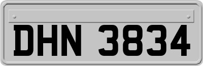 DHN3834