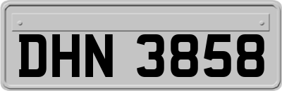 DHN3858