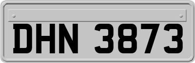 DHN3873