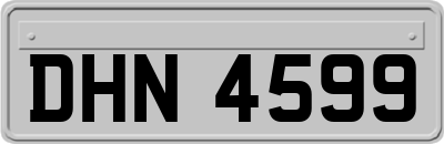 DHN4599