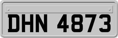 DHN4873