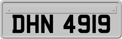 DHN4919