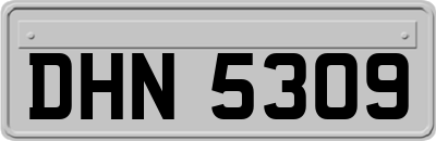 DHN5309