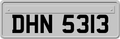 DHN5313