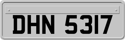 DHN5317