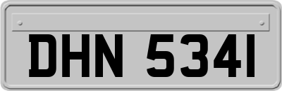 DHN5341