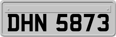 DHN5873