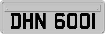 DHN6001