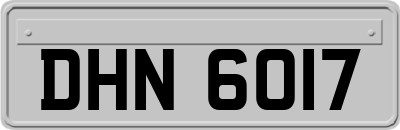 DHN6017
