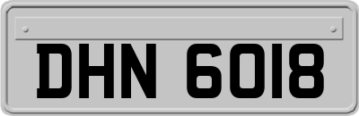 DHN6018