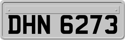 DHN6273