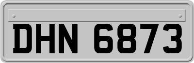 DHN6873