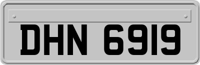 DHN6919