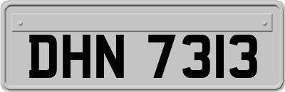DHN7313