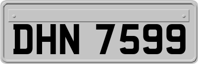DHN7599