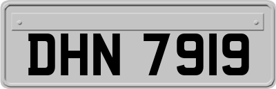 DHN7919