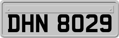 DHN8029