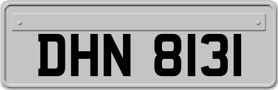 DHN8131