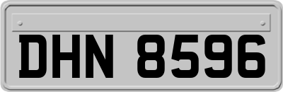 DHN8596