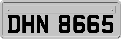 DHN8665