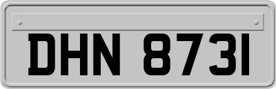 DHN8731