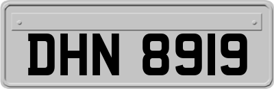 DHN8919