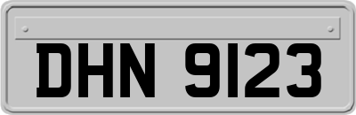 DHN9123