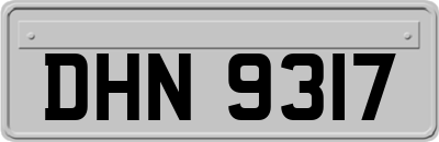 DHN9317