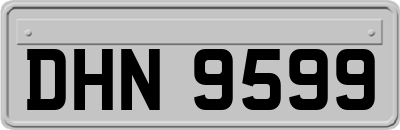 DHN9599