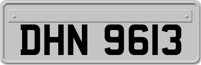 DHN9613