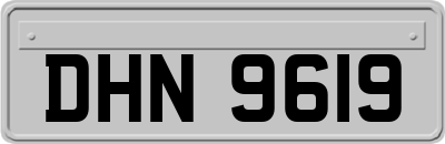 DHN9619